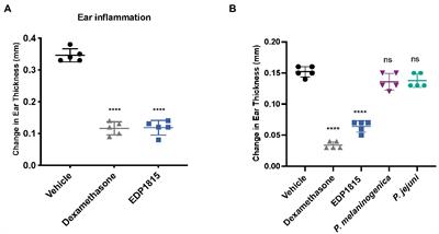 Clinical translation of anti-inflammatory effects of Prevotella histicola in Th1, Th2, and Th17 inflammation